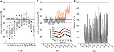 Short-Term Thermal Acclimation Modifies the Metabolic Condition of the Coral Holobiont